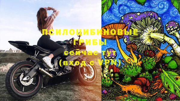 прущие крисы Балахна
