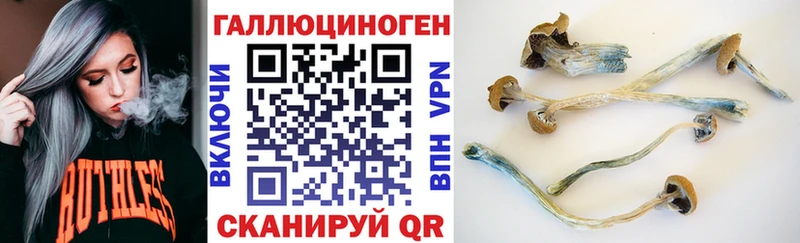 omg как зайти  маркетплейс какой сайт  Галлюциногенные грибы Psilocybine cubensis  Вышний Волочёк 